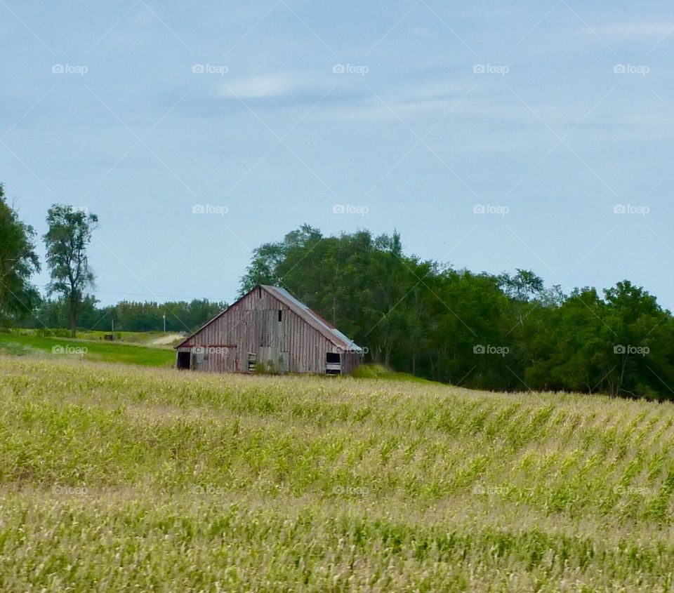 This Barn Has Seen a Few Crops of Corn