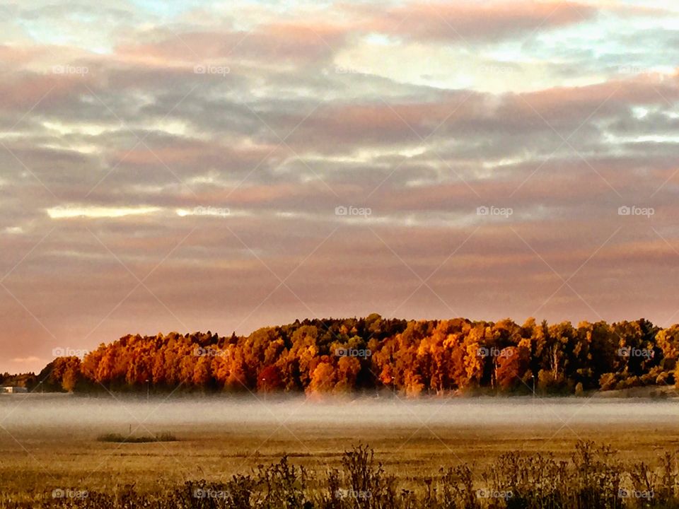 Landscape in autumn! 