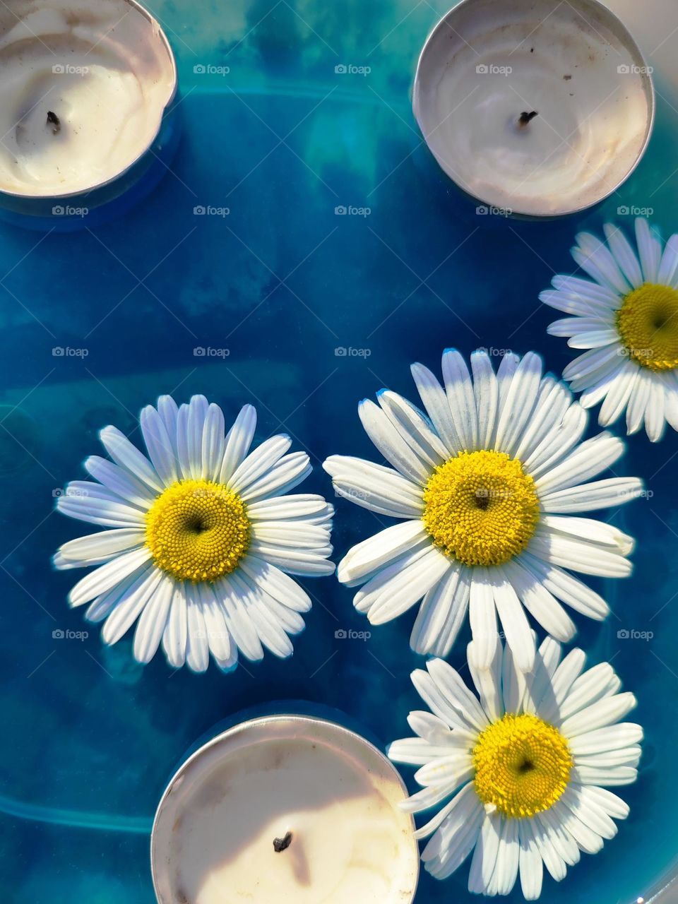 Daisy flowers and candles