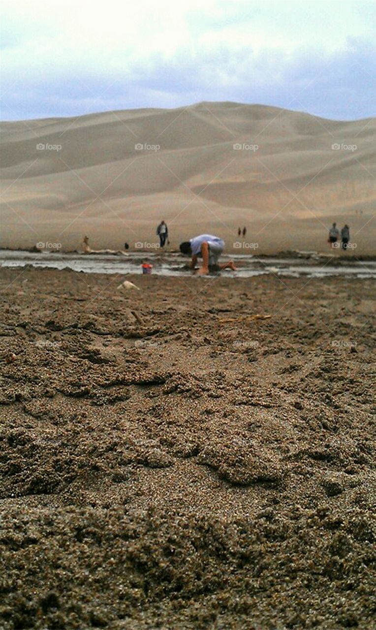 Sand Dune Sand Castles
