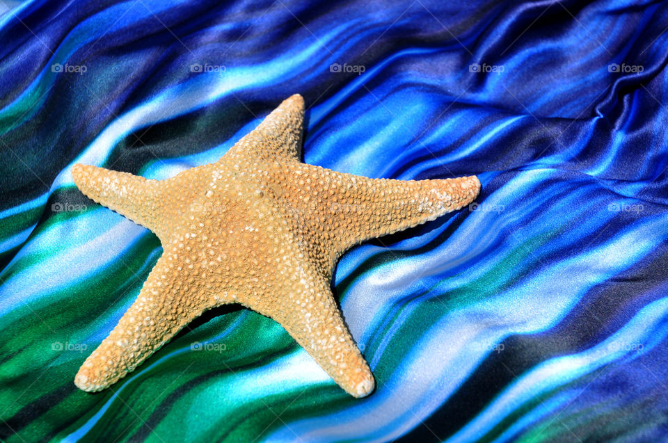 Large starfish on a pretty blue background. Beach travel concept. 
