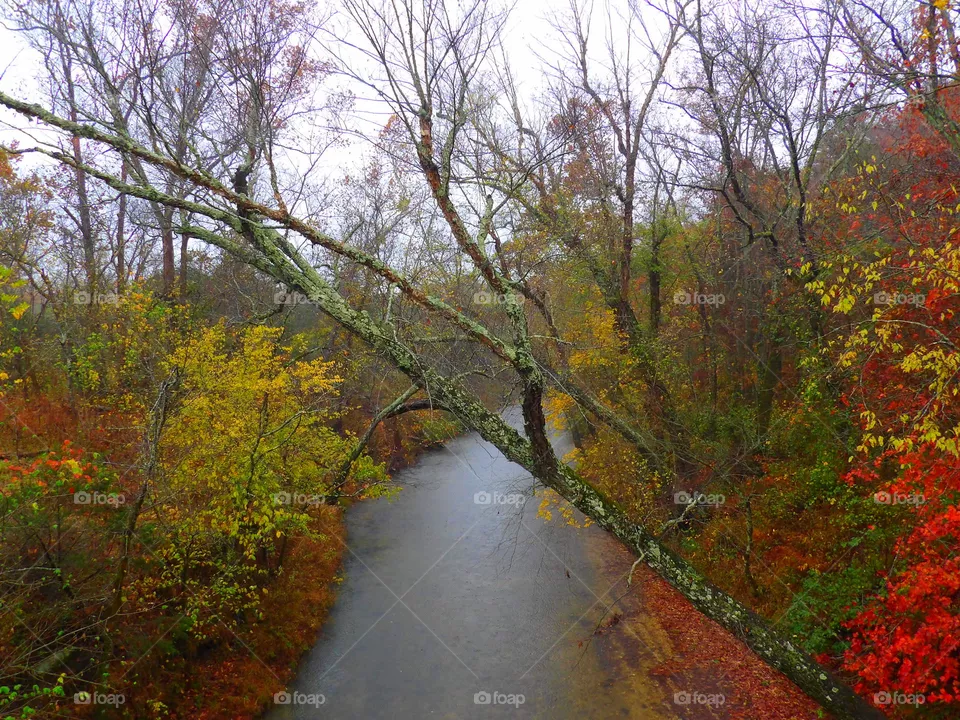 Autumn Creek Shot