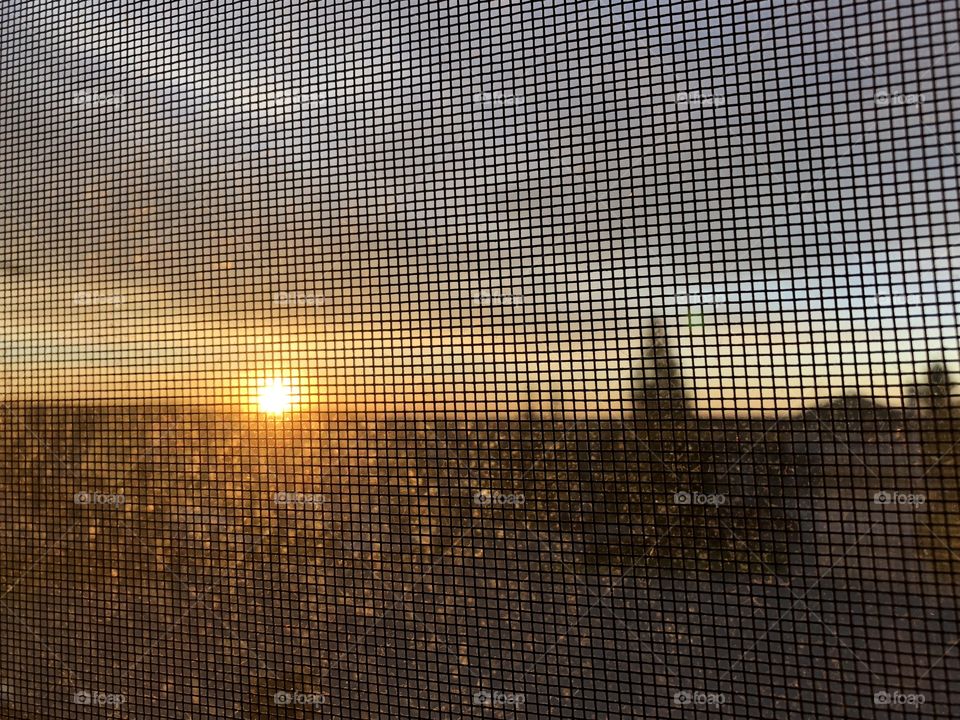 Sunrise from my room.