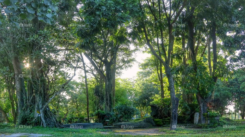 Spooky spot inside the Prambanan temple compound, near Jogjakarta, Indonesia
