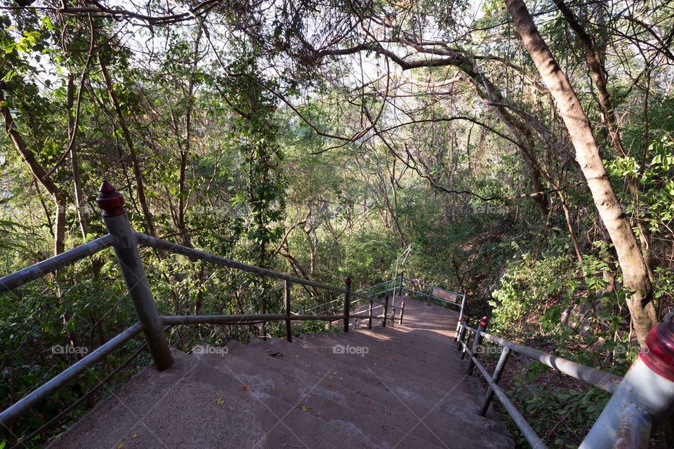 Path down the hill