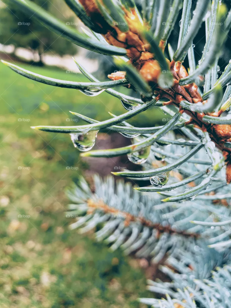 water drop