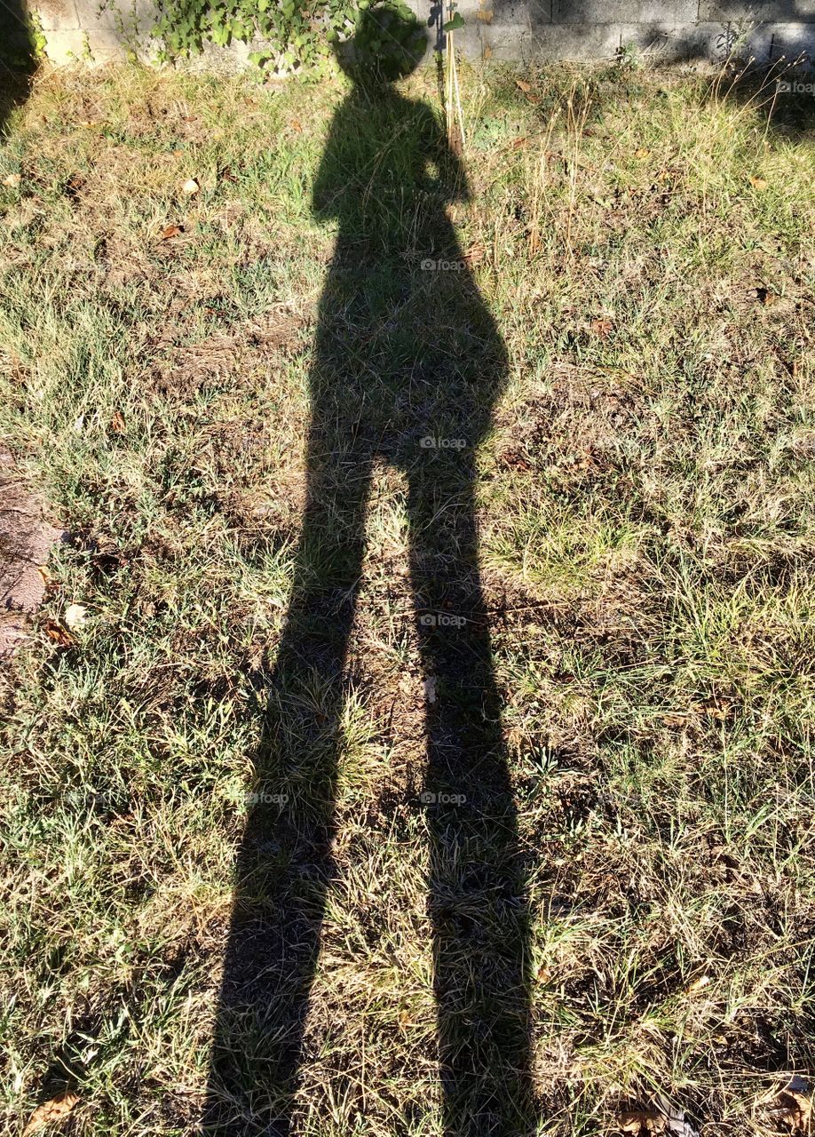 Long shadow 