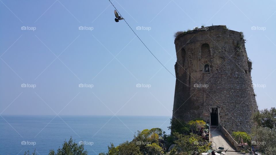 bird on a wire. traveling around italy. amalfi coast