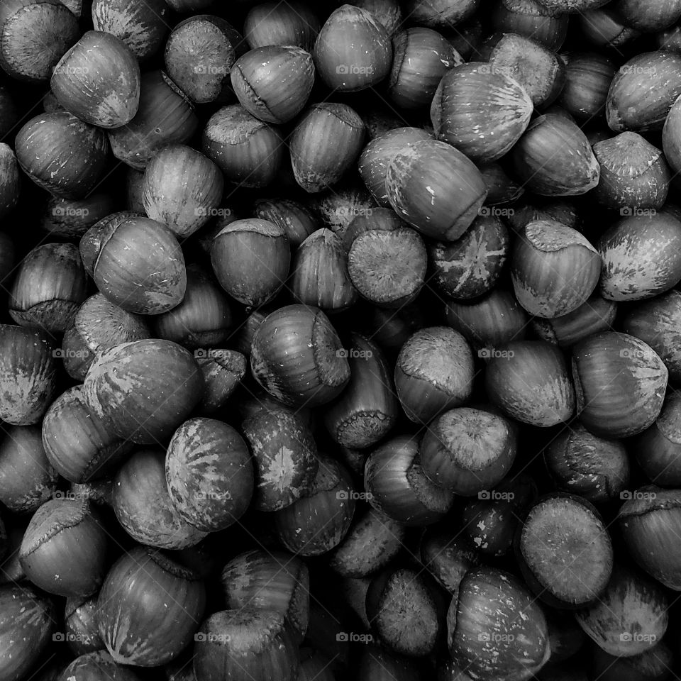 Closeup details and texture of freshly harvested hazelnuts in the fall