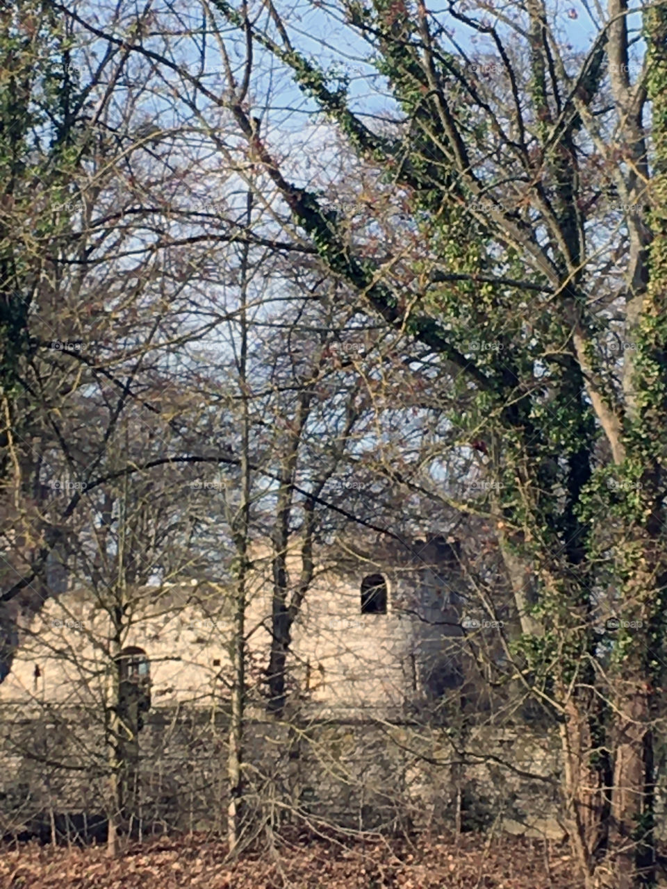 Authentic open castle behind modern tree