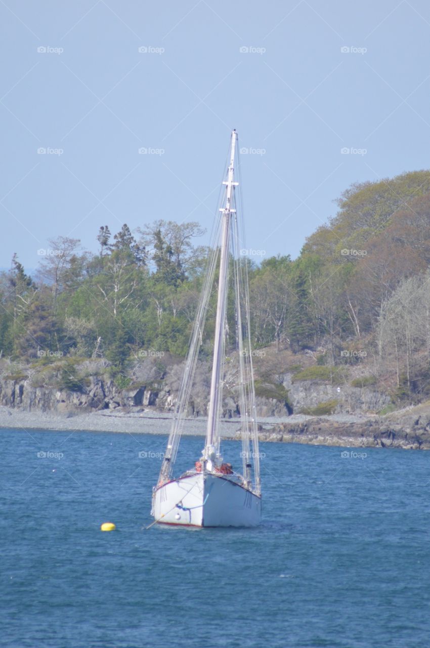 Bar Harbor