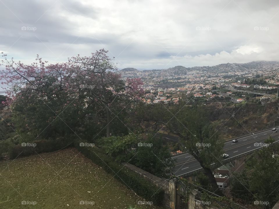 Jardim botânico Funchal 