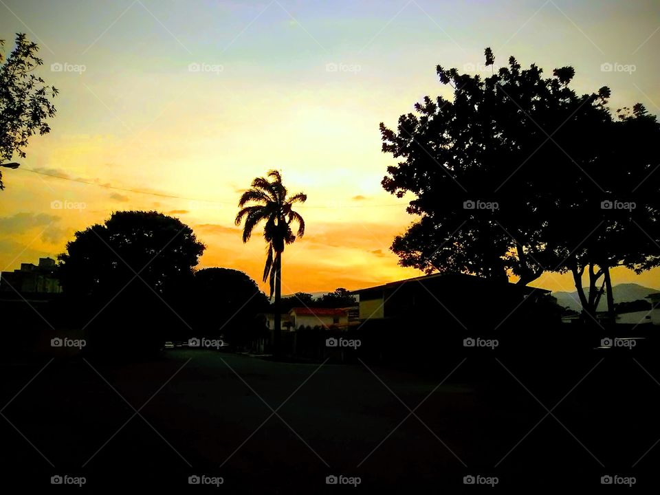 The master sunset's Trigal, Valencia, Venezuela.