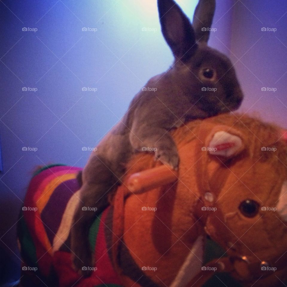 Easter bunny ride