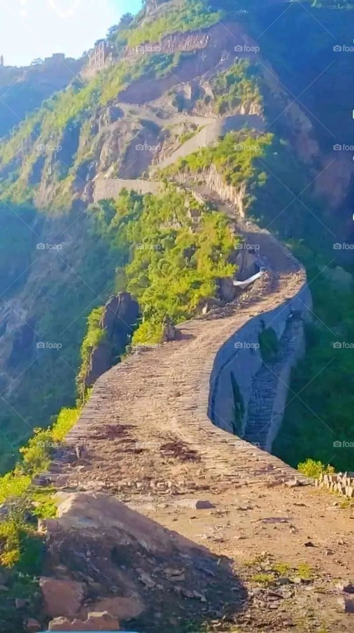 A very beautiful picture, and there is no better picture than it. There is no better picture of green herbs and colorful, red and white roses than it. Glory be to God, the natural and picturesque view, and there is no more