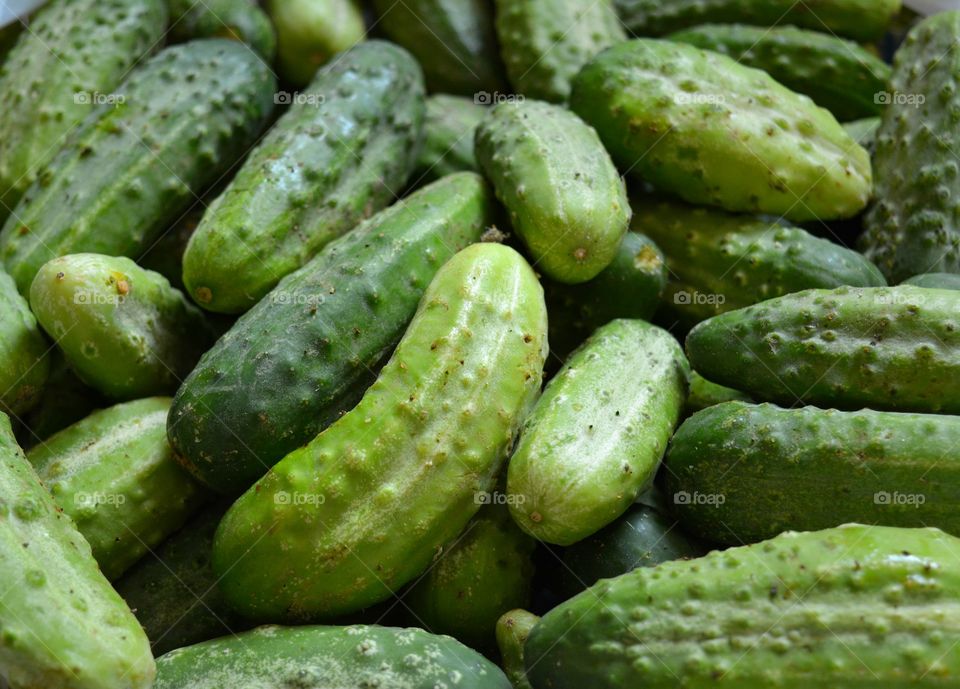 cucumbers homemade