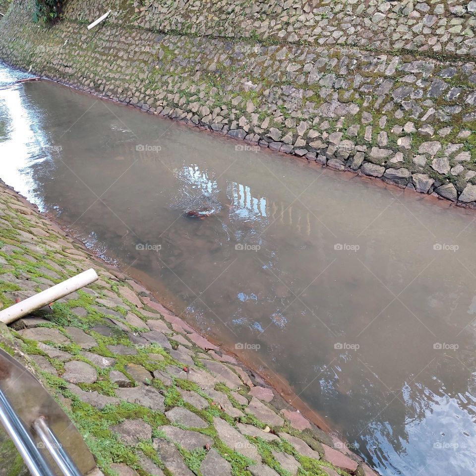 river with clear water in urban area