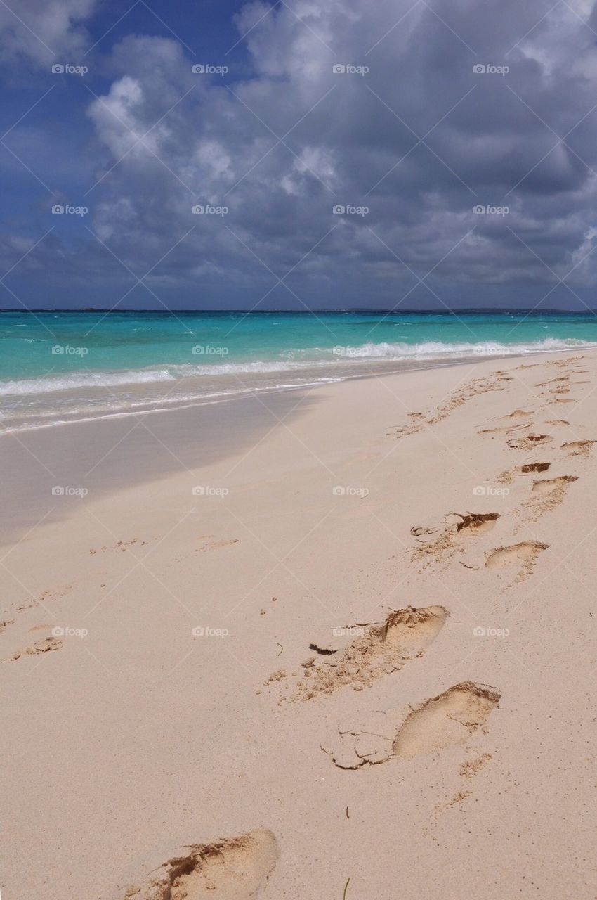 Prickley pear, anguilla