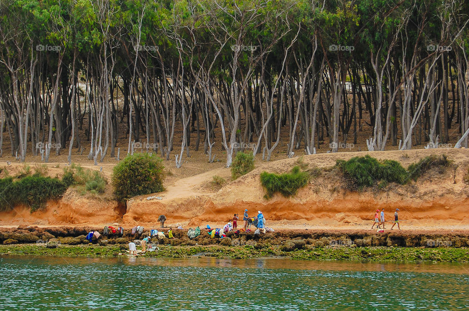 People working on the shore of the lagoon. Oualidia lagoon