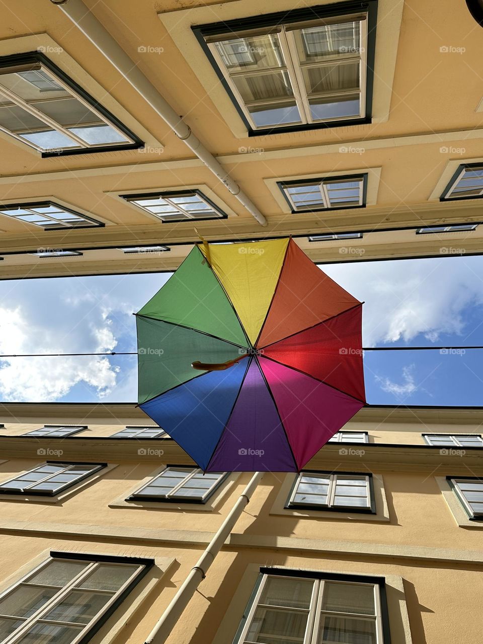 Umbrella 