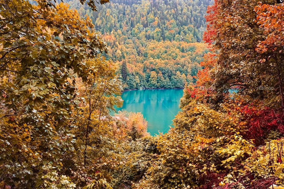 Heart shaped lake through autumn trees
