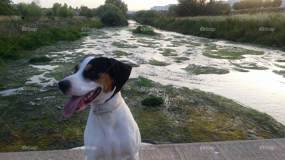 happiness in the river