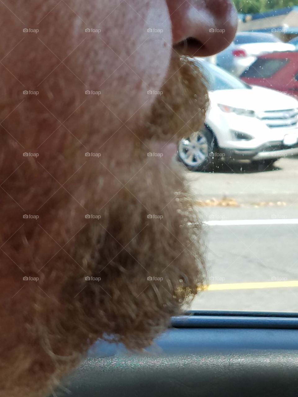 hip beard 1