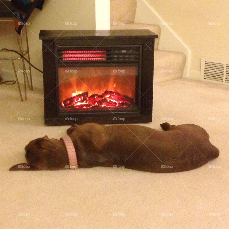 There's a chill in the air.. There's a chill in the air here in Nebraska… And my puppy wants to stay warm in front of the fireplace.