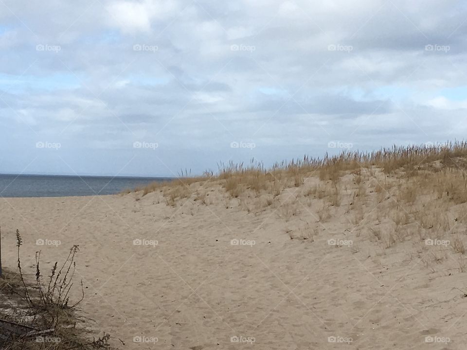 Sand dunes at the beach.