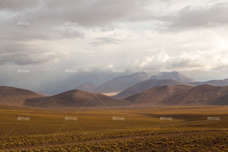 Desert scenery in Atacama. Mountainous evening scenery in Atacama desert. Yellow grass in flat land. Clouds in the sky. Sand road in front.