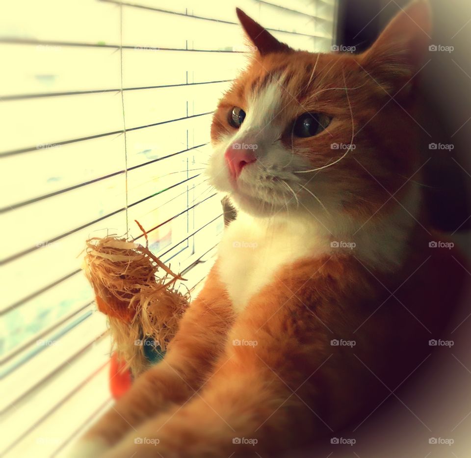 Max striking a pose. Looking studious as usual.