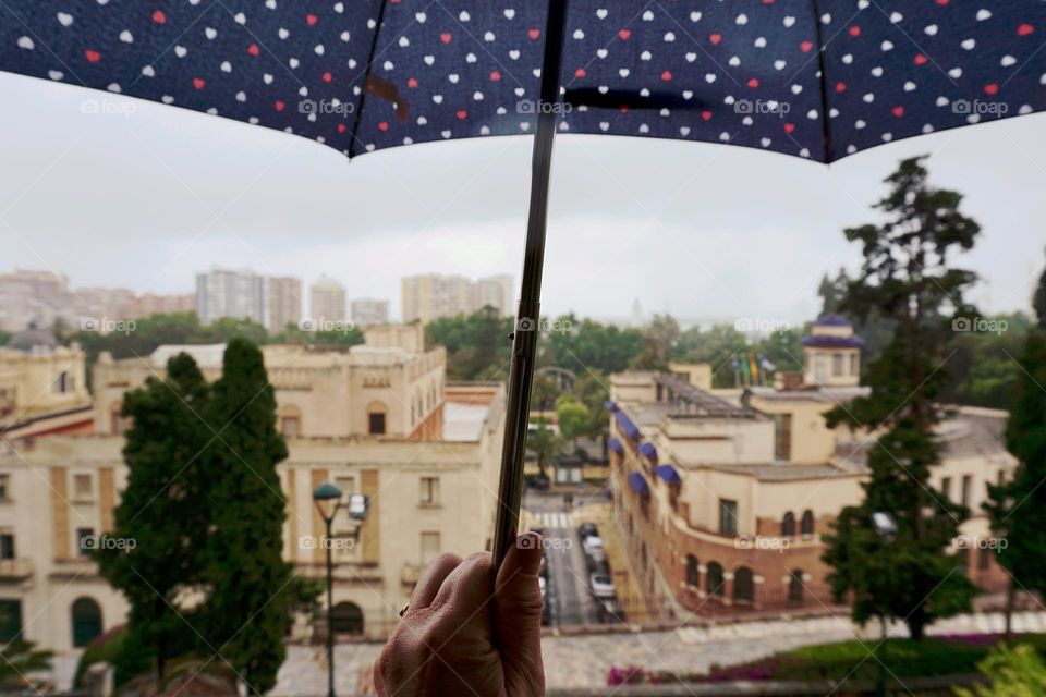 Polka Dog Brolly ☂️