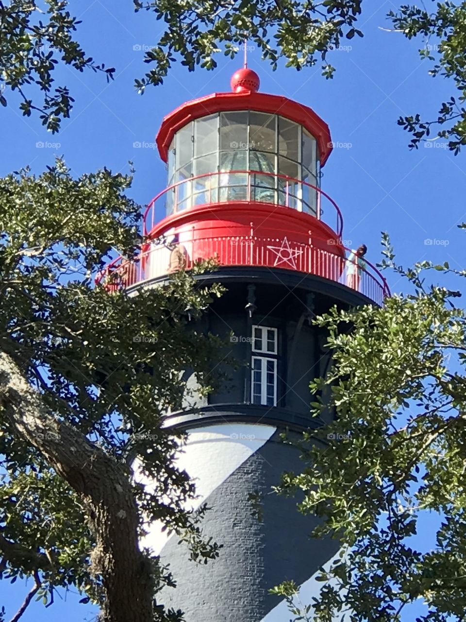 Child looking over the top rail of the beautiful St. Augustine lighthouse 