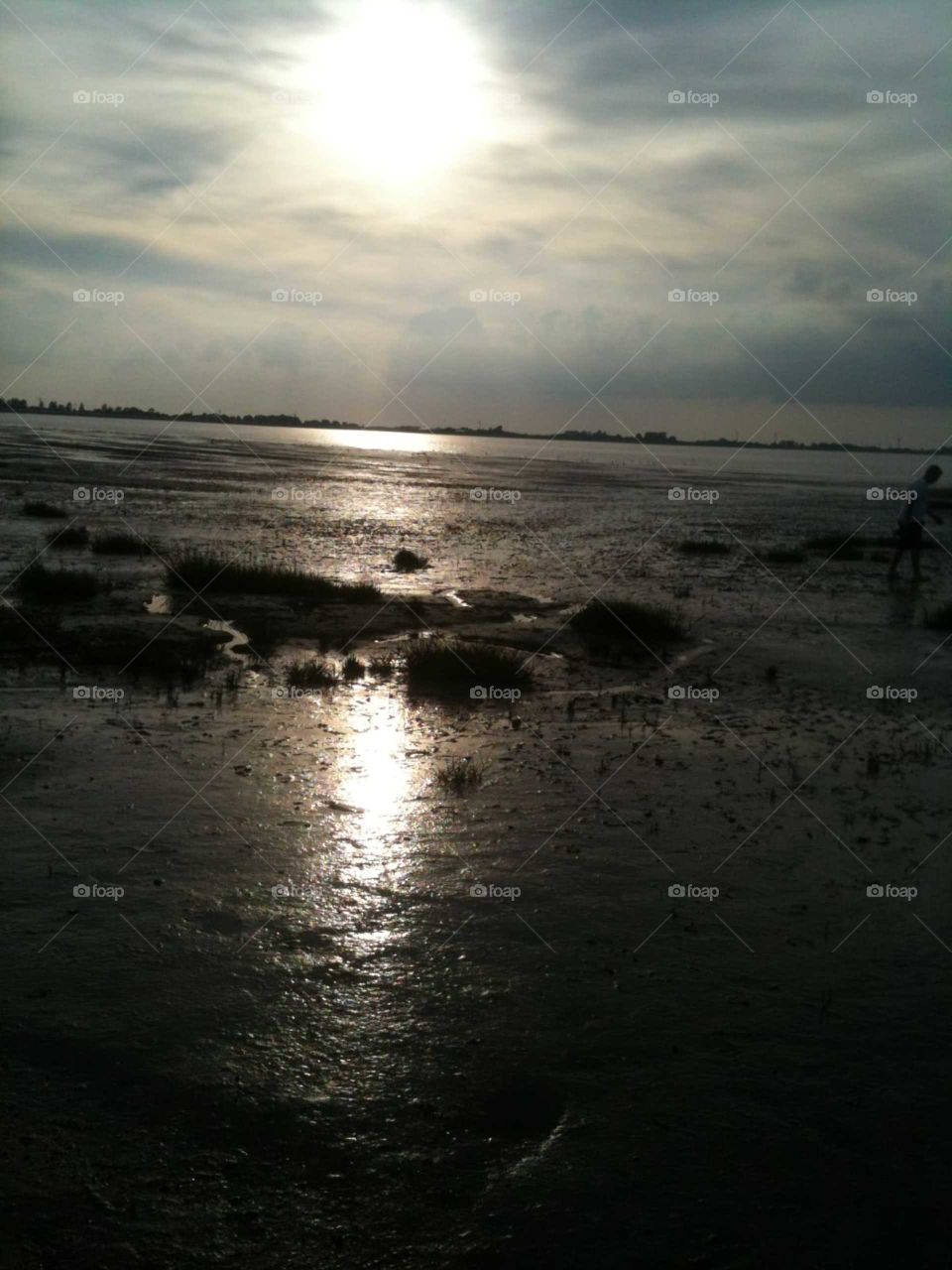 Sunny Reflection on sea