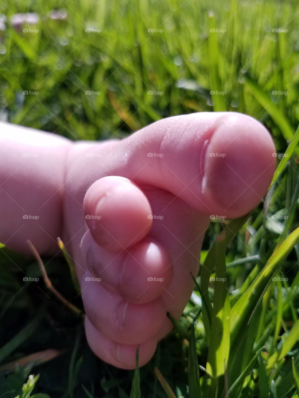 Sweet Sunny Toes
