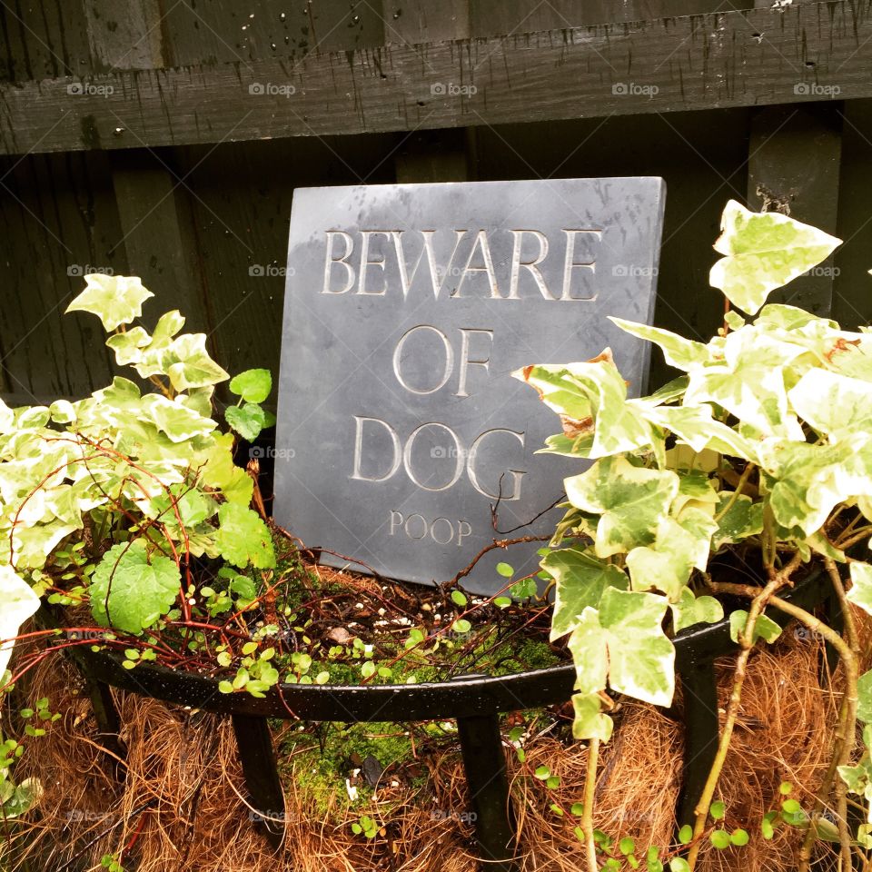 Beware of Dog...