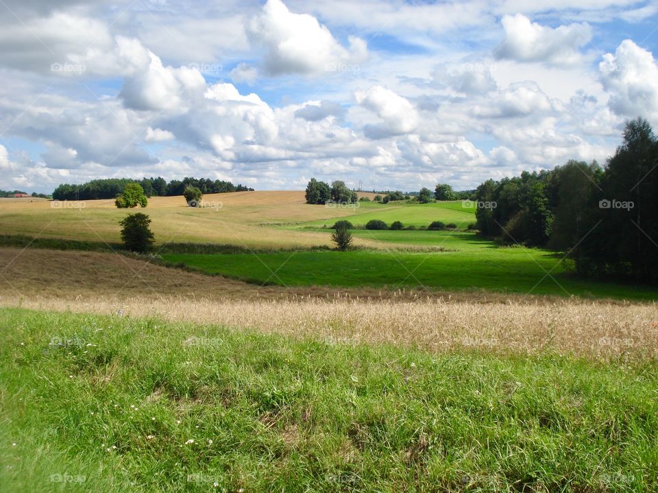 Cloudscape in the Fields
