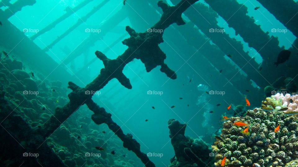 Wreck diving