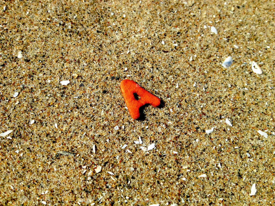 Beachcomber delight.