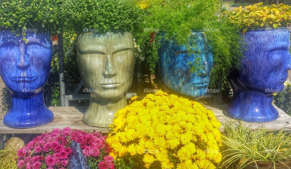 Autumn Flowers. Garden Head Planters