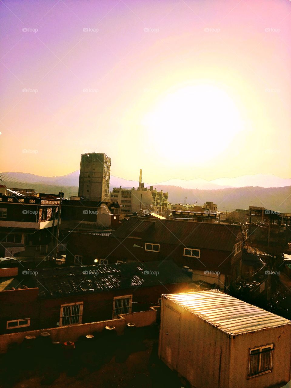 the sunlight in south korea