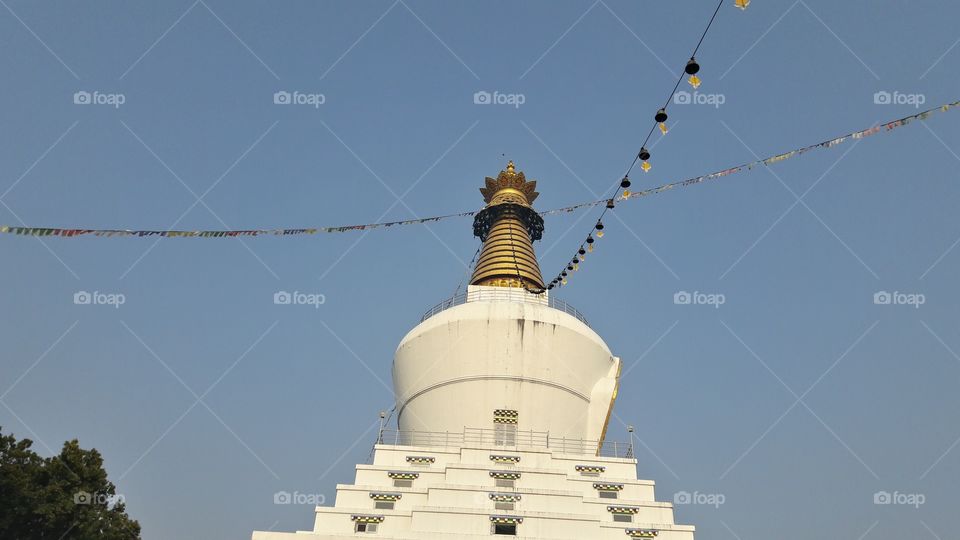 Buddha temple Dehradun