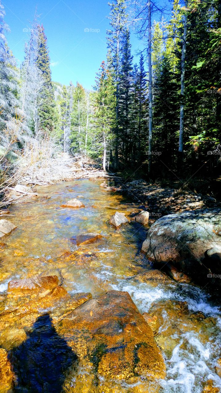 Stream in Rockie Mountain National Park