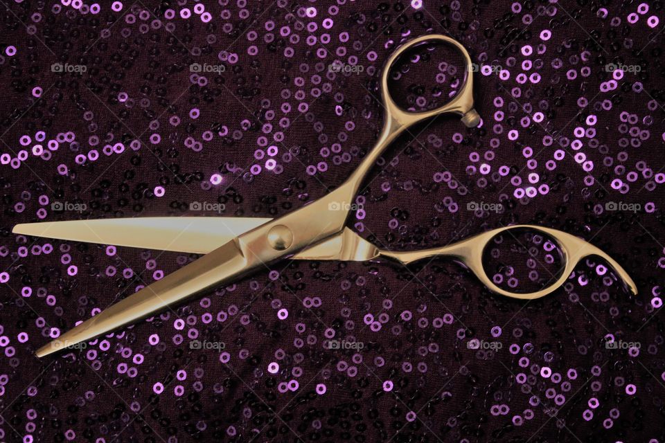 Sassy Scissors 2