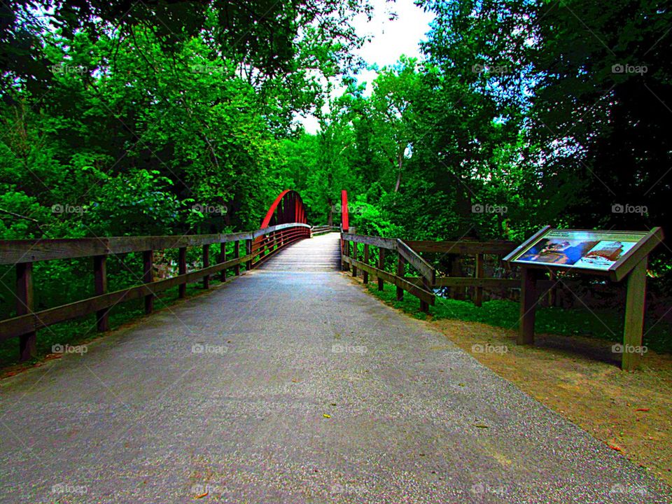 Bridge in The Park