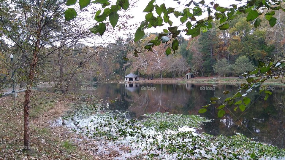 Pond at Forest Hill Park, Richmond, Virginia.