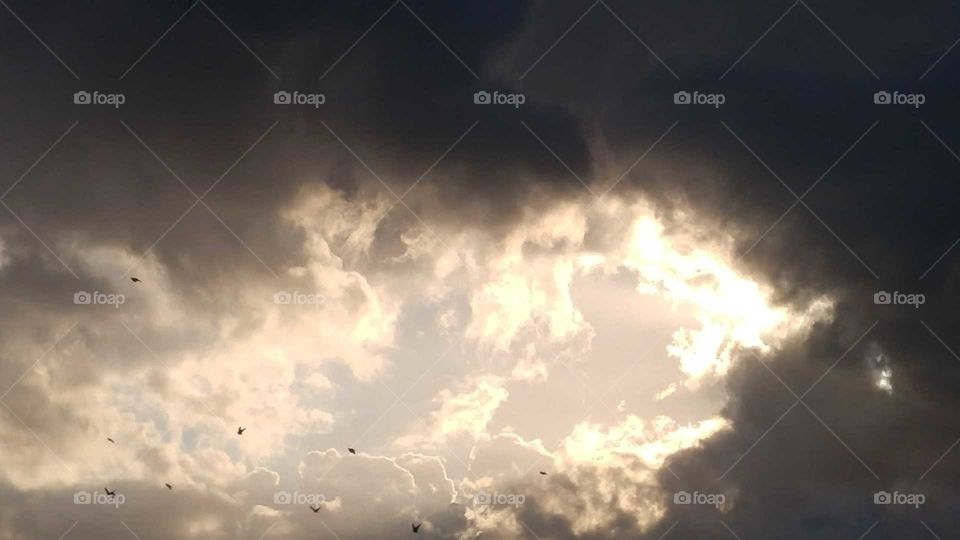 Birds flying together with the rays of a sunset shining through dark clouds.