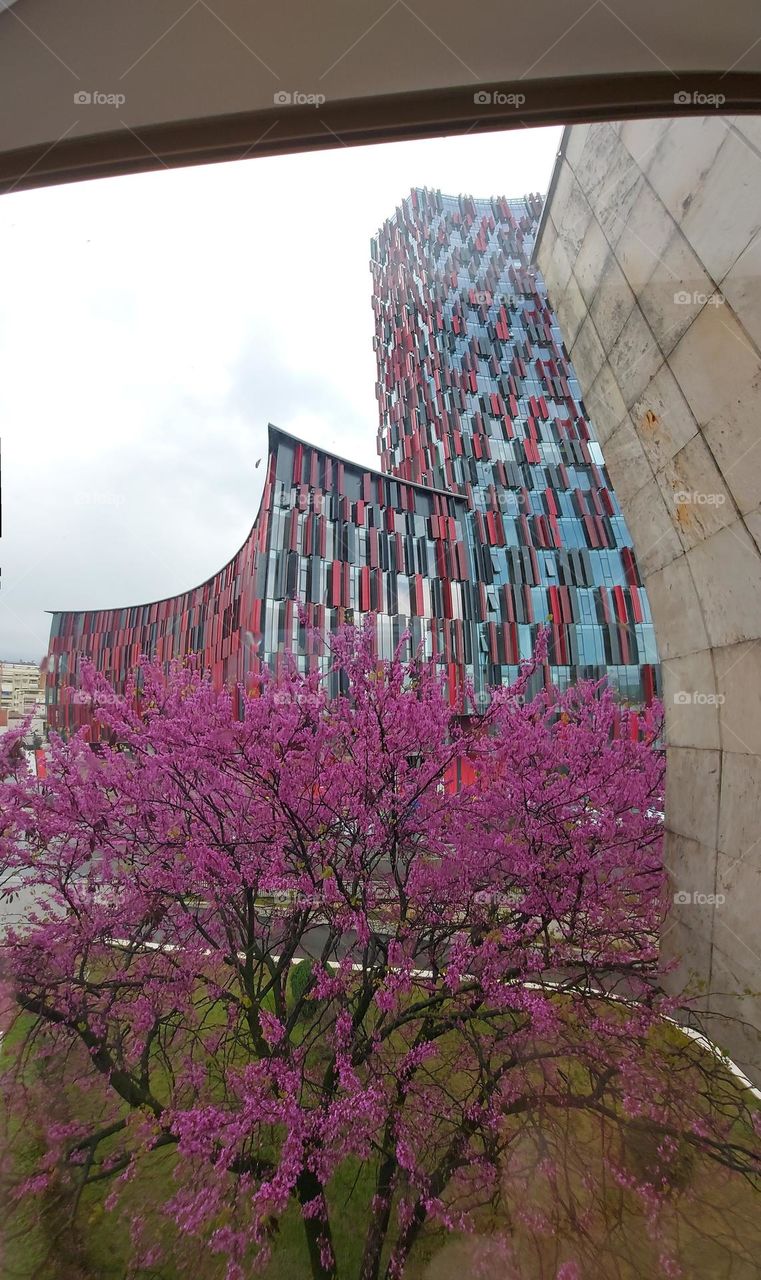 Red and black structure