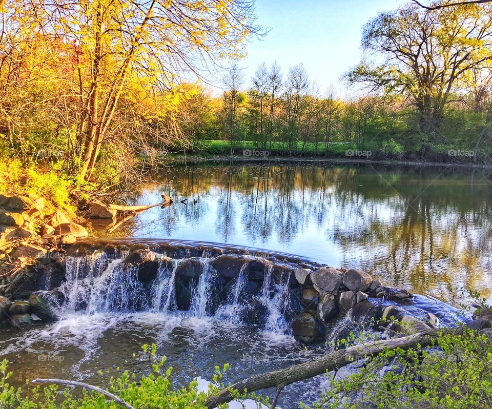 Autumn trees reflecting in lake