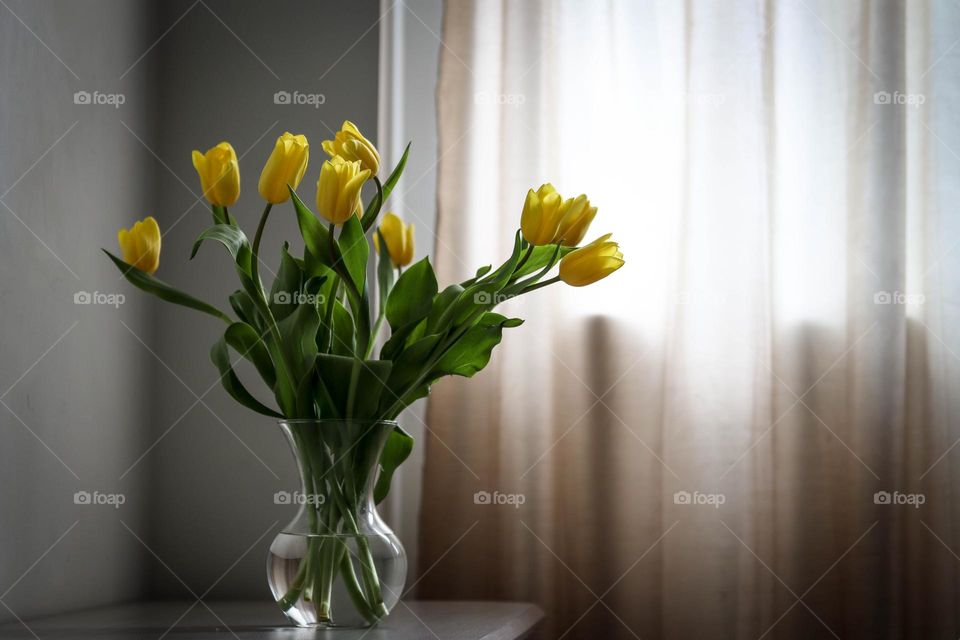 Yellow tulips in a glass vase